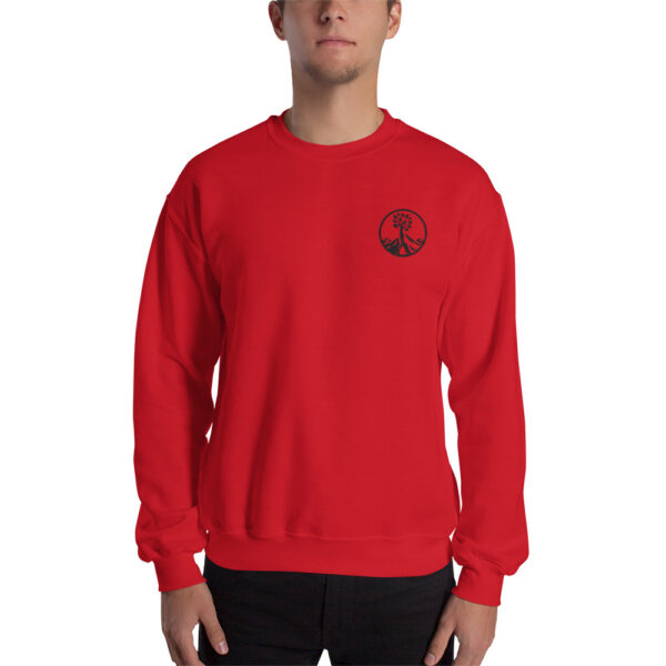 pullover sweatshirt kamara logo red - Kamara