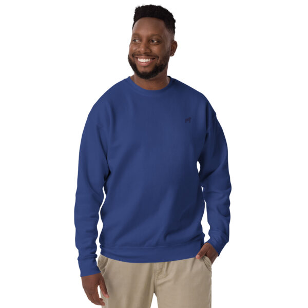 sweather pullover gorilla team royal - Kamara